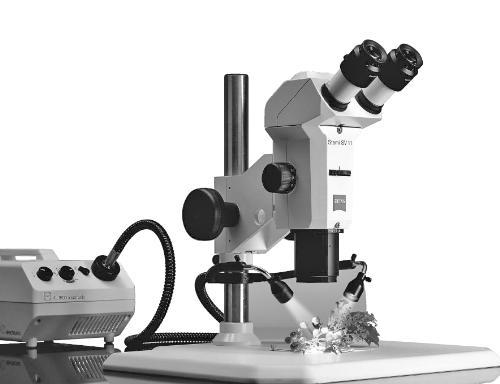 Стереомикроскоп STEMI SV 6