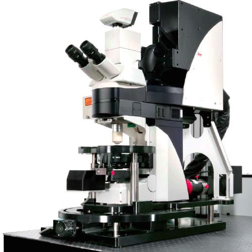 Конфокальный сканирующий микроскоп LEICA DM6000 CFS