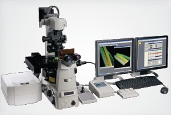 Конфокальный микроскоп NIKON A1si+ и A1Rsi+