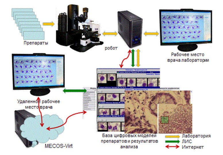 Система лабораторной телемедицины MECOS-VIRT для микроскопических анализов