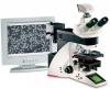 �������� ������ ��� ����������� LEICA DFC340 FX
