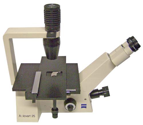 Инвертированный микроскоп проходящего света AXIOVERT 25