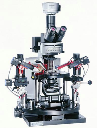 Микроскоп прямой для нейро-физиологии OLYMPUS BX51WI