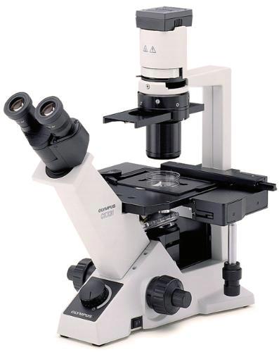 Микроскоп инвертированный лабораторный OLYMPUS CKX31
