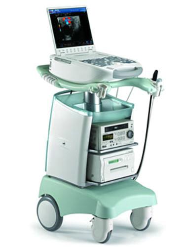 Ветеринарный ультразвуковой сканер MyLab 30 VET