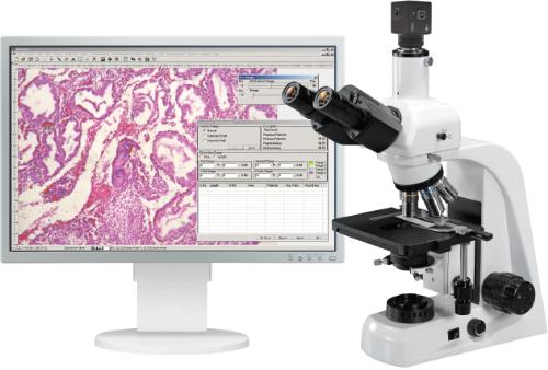Цифровая система анализа для медицины и биологии VISION Bio