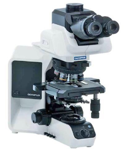 Микроскоп прямой OLYMPUS BX53