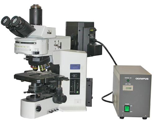 Микроскоп прямой исследовательский OLYMPUS BX51