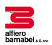 Медицинское оборудование ALFIERO BARNABEI (ITALY)
